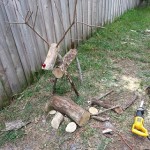 Log Reindeer from cut branches