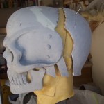 Natural split for Skull Knight helmet on foam mannequin head.