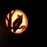 Owl in the moonlight Jack-o-lantern