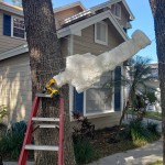 WIP spider web hanging wrapped body