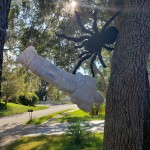 WIP spider web back angle