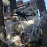 Finished web effect for Halloween decor