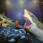 Sea World's great white shark photo op, fiberglass construction